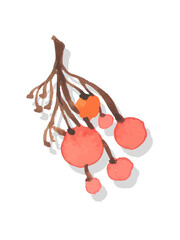 set of watercolor bunches of berries seasonal autumn isolated illustrations