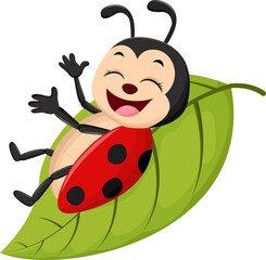 Cartoon cute ladybug on leaf 