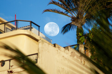 Fototapeta na wymiar full moon in the sky of Rio de Janeiro, Brazil.