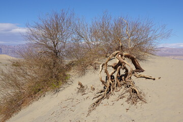 Death Valley National Park, CA