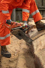 Close up of chain saw used cut  log. Body of workmen in orange coveralls.