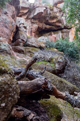 A yellow orange rocks in the national park