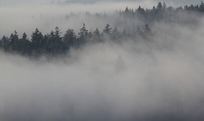 Obraz na płótnie Canvas Fog Layers