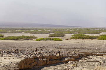 Death Valley State Park, CA