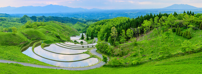 Ogi Terraced Rice Fields Panorama rijstterrassen met Mount Aso op de achtergrond Genomen in 2022, Japan (lente) Aso, Kyushu, Kumamoto Prefecture Ogi Terraced Rice Field