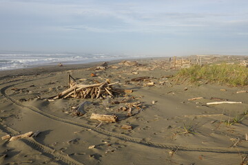 Obraz premium Eureka - Humboldt Bay - CA