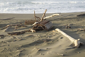 Eureka - Humboldt Bay - CA