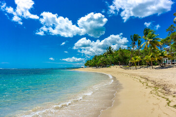 Puerto Plata - Dominican Republic, Beautiful Tropical Beach - July, 2022 - obrazy, fototapety, plakaty