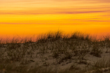 Sunset Beyond the Dune