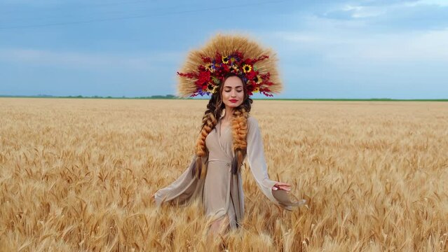 a beautiful woman in a Ukrainian national Ukrainian dress and a wreath of wheat in a field with ripe wheat. The concept of a free Ukraine. A young woman with beautiful braids moves across the field.