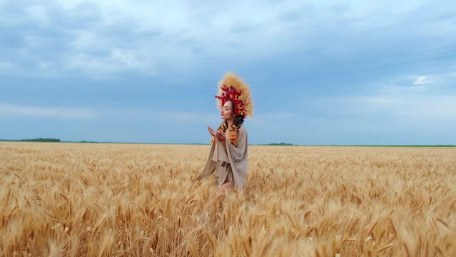 a beautiful woman in a Ukrainian national Ukrainian dress and a wreath of wheat in a field with ripe wheat. The concept of a free Ukraine. A young woman with beautiful braids moves across the field.