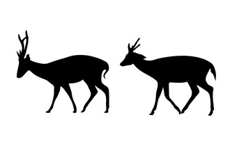 graphics drawing silhouette animal deer vector illustration