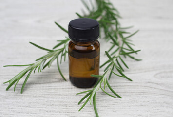 ローズマリー　ハーブ　アロマ　セラピー　スパ　余白
