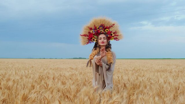 a beautiful woman in a Ukrainian national Ukrainian dress and a wreath of wheat in a field with ripe wheat. The concept of a free Ukraine. A young woman with beautiful braids moves across the field. 
