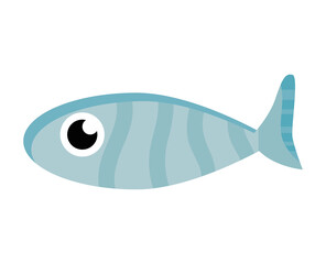 fish sealife animal