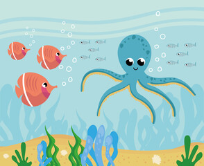 Naklejka na ściany i meble octopus sealife underwater