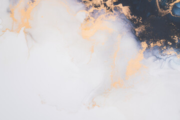 Marble ink abstract art from exquisite original painting for abstract background . Painting was painted on high quality paper texture to create smooth marble background pattern of ombre alcohol ink . © InfiniteFlow