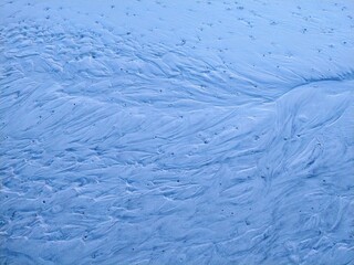 Branching Pattern in Blue Beach Sand