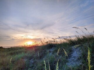 Beach Sunrise Over Seagrass