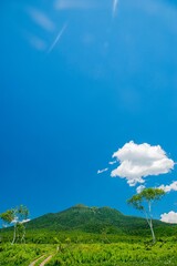 Obraz premium 夏の尾瀬ヶ原と燧ヶ岳