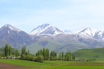 Beautiful spring and summer landscape. Lush green hills, high mountains. Spring blooming herbs.