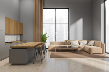 Grey kitchen interior with couch and countertop, relax corner and panoramic window