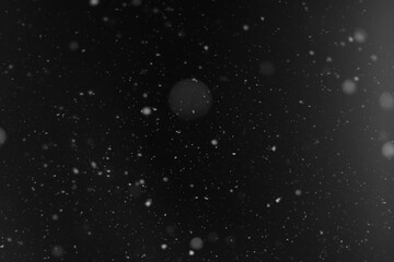 Snow background. Snow on a black background. Snowflakes for overlay.