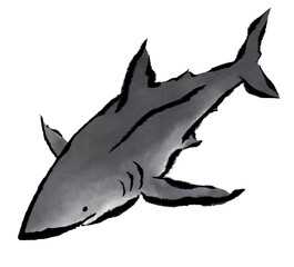 水墨画風ホホジロザメ