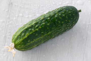 fresh cucumber from the garden on a white table, close-up