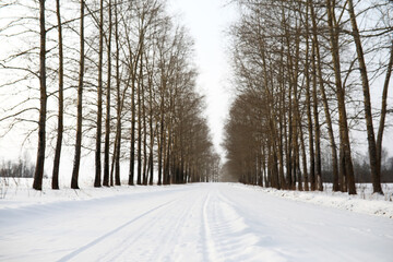 Fototapeta premium Winter landscape of country fields and roads