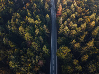 Aerial view from above of highway through the autumn fir forest. Drone photography.
