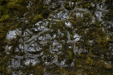 An old stone wall covered with moss and withered grass. The texture of the stone background.