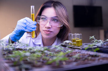 Woman scientist hand holding a test tube with Cannabis sapling in the lap