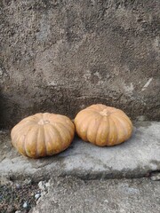 pumpkin on the stone