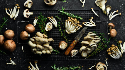 Set of fresh organic mushrooms on a black stone background. Top view.