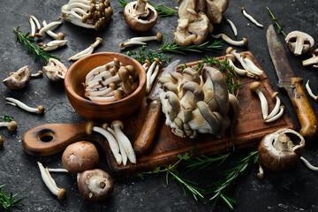 Mushroom set: Maitake Mushrooms, Brown beech mushroom, and champignons. Side view. On a stone background.