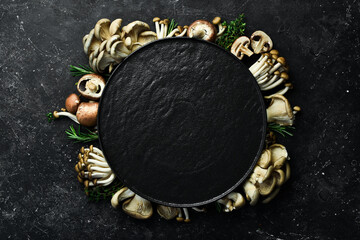 Mushrooms: Maitake Mushrooms, Brown beech mushroom, and champignons. Side view. On a stone background.