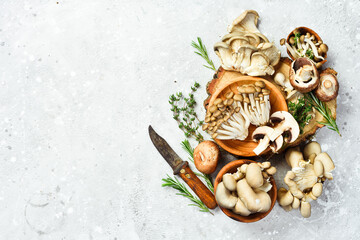 Organic Healthy Mushrooms: Maitake Mushrooms, Brown beech mushroom, and champignons. On a stone background.