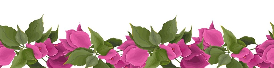 Seamless vector pattern border. Pink cute bougainvillea - obrazy, fototapety, plakaty