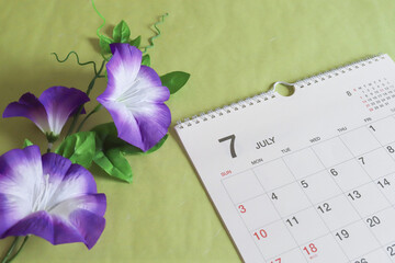 7月のカレンダー　朝顔　夏イメージ