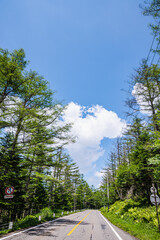 霧ヶ峰　諏訪白樺湖小諸線