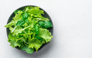 A mixture of healthy greens in a plate on a gray background. Diet food. Fresh basil and lettuce...