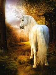 illustration white unicorn in the field