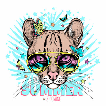 Cute ocelot with buttflies and stars. Summer is coming illustration. Stylish image for printing on any surface