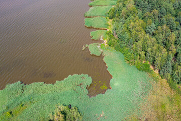 Aerial view of green lake  bank. Natural habitat for wild nature and recreation area.