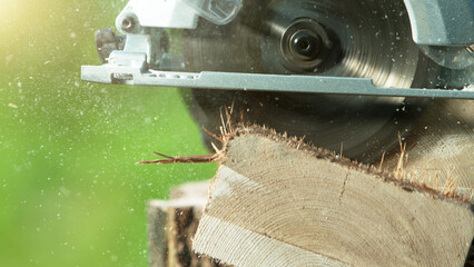 Detail of circular saw saws the timber log.