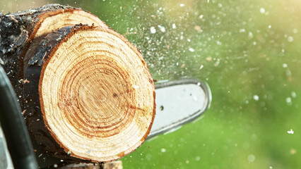 Detail of chainsaw saws the timber log.