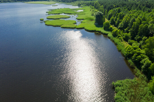 Staw hodowlany położony w lesie, w słoneczny dzień.  Brzegi i groble porośnięte są zieloną trawą. W wodzie odbija się słońce i niebieskie niebo. Zdjęcie z drona.