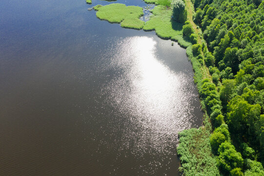 Staw hodowlany położony w lesie, w słoneczny dzień.  Brzegi i groble porośnięte są zieloną trawą. W wodzie odbija się słońce i niebieskie niebo. Zdjęcie z drona.
