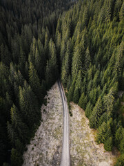 Fototapeta na wymiar Aerial view of green summer forest with a rural road. Captured from above with a drone